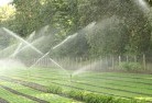 Caveatlandscaping-water-management-and-drainage-17.jpg; ?>